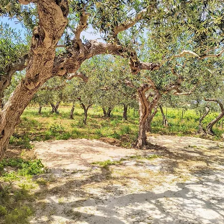 Fior Di Loto Apartamento Trapani